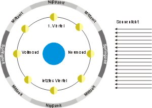 Schema