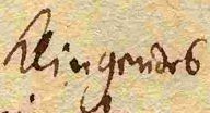 Wort20