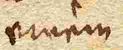 Wort48
