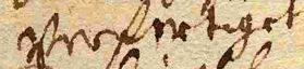 Wort50