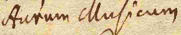Wort54