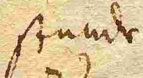 Wort66