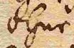 Wort85