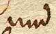 Wort112