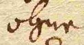 Wort113