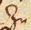 Wort118