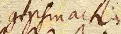 Wort125