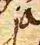 Wort129