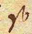Wort146
