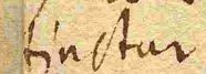 Wort155