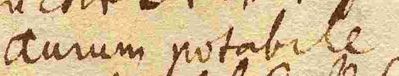 Wort157