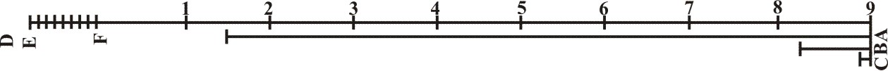 Scales of Lines