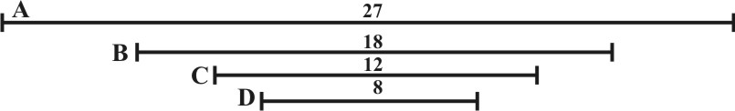 Line of Solids