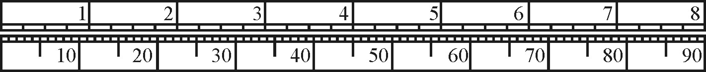 Rumb Scale